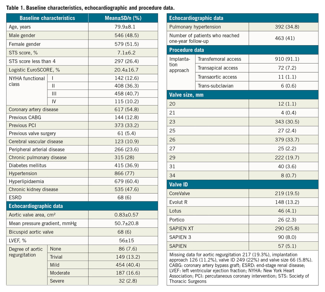 Table 1. Baseline characteristics, echocardiographic and procedure data.